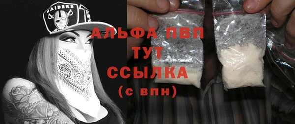 мдпв Ельня