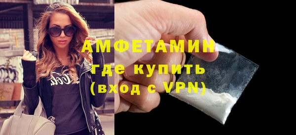 мдпв Ельня