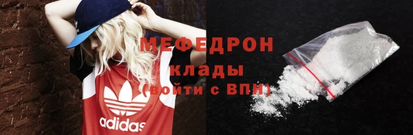 мдпв Ельня