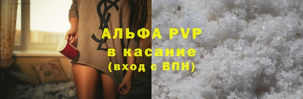 мдпв Ельня