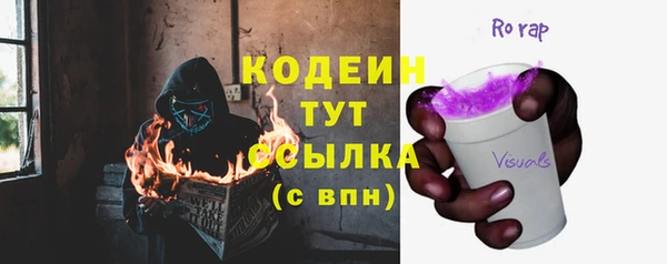 кокс Елизово