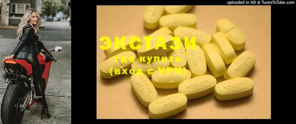 мдпв Ельня
