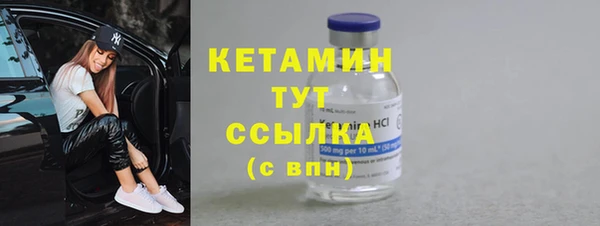мдпв Ельня