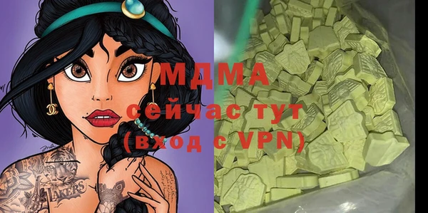 мдпв Ельня