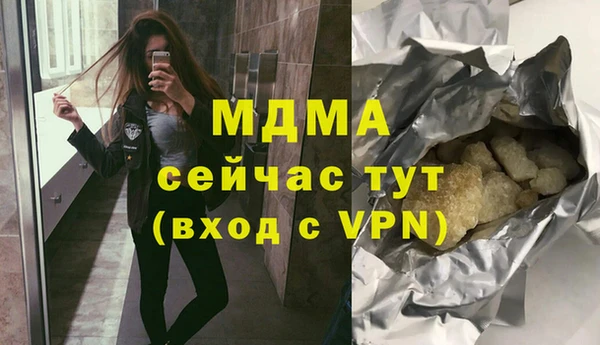 мдпв Ельня