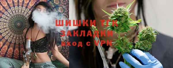 кокс Елизово