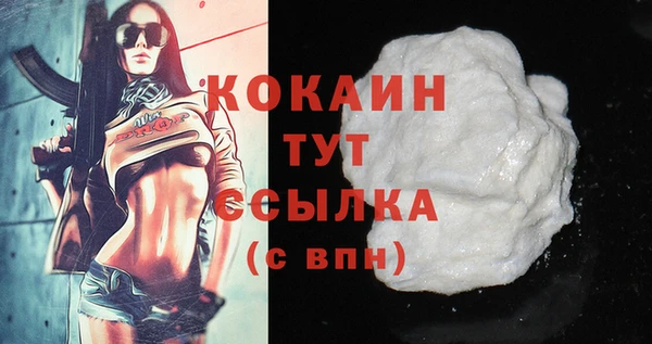 мдпв Ельня