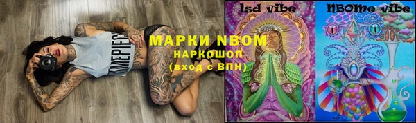 кокс Елизово