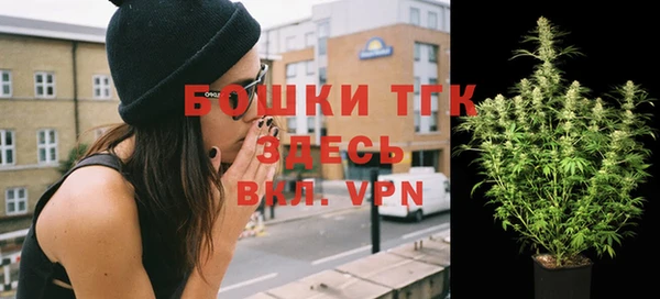 мдпв Ельня
