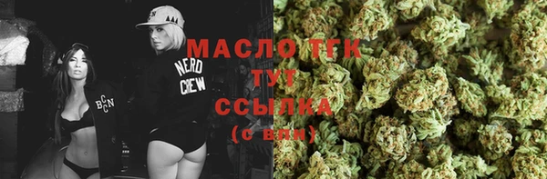 мдпв Ельня