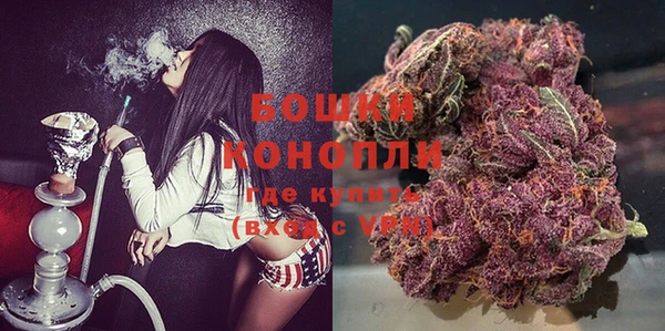 кокс Елизово